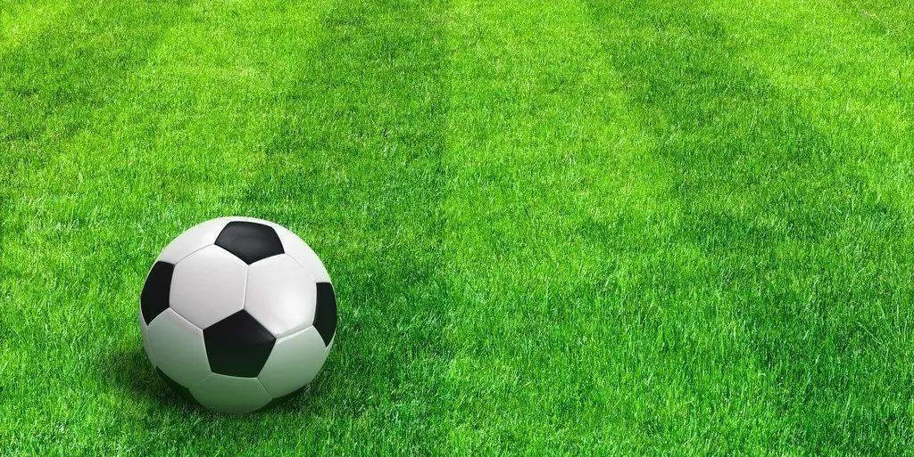 雷速比分体育应用界面展示